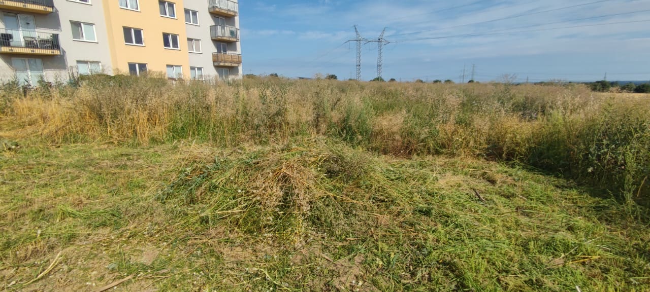 Pozemek před zahájením stavby — nezastavěná parcela vedle stávajícího bytového domu